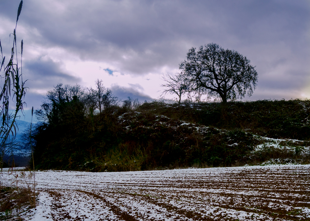 La neve. A benedire la semina